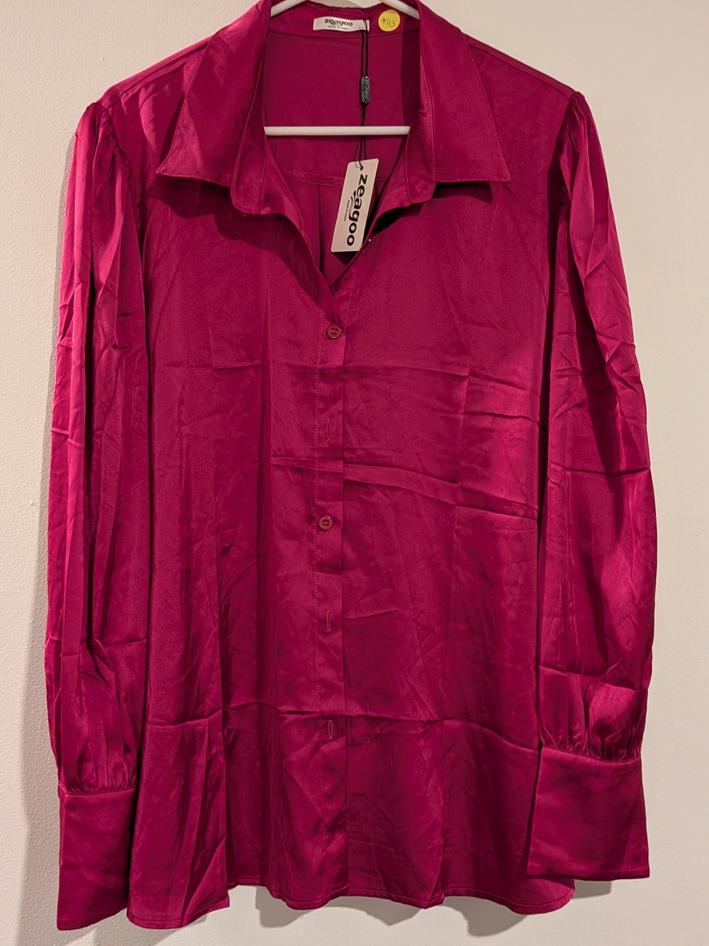 zeagoo Women's Satin Button-Down Blouse in Fuchsia